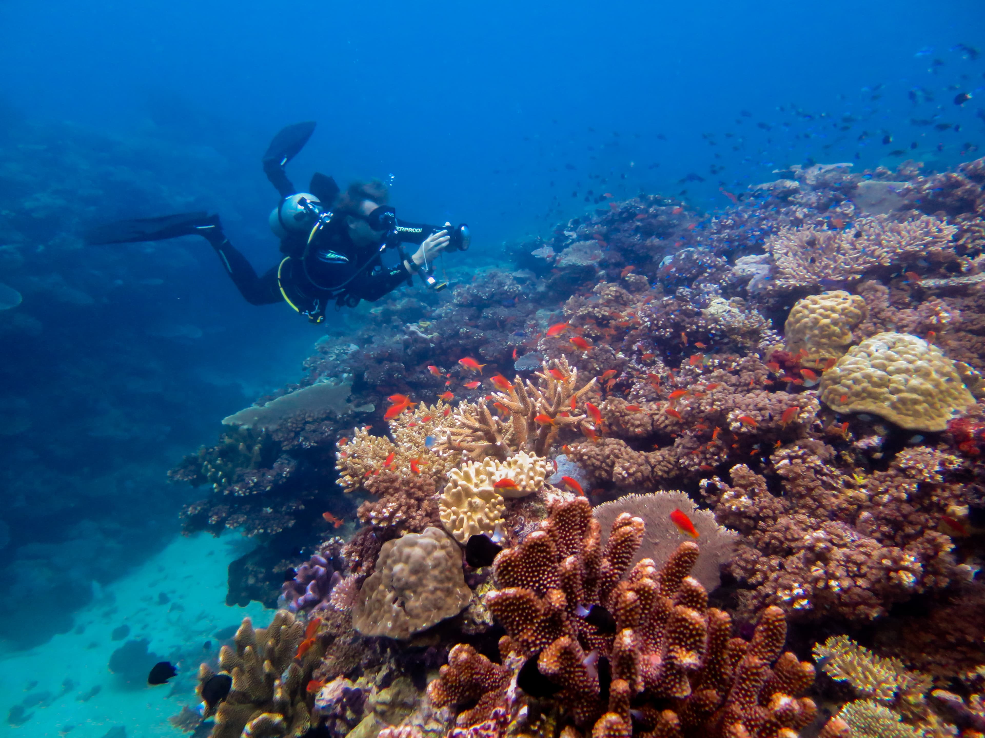 Dive Sites